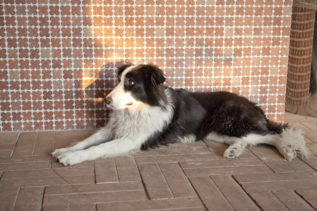 Thumbnail of post image 132